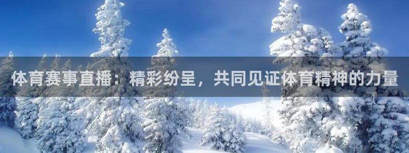 体育赛事直播：精彩纷呈，共同见证体育精神的力量