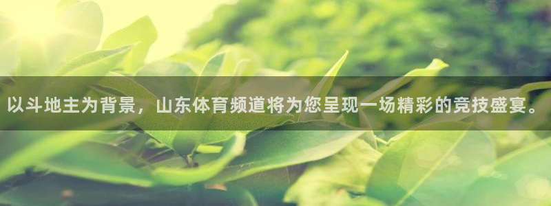 以斗地主为背景，山东体育频道将为您呈现一场精彩的竞技盛宴。