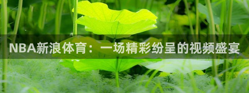 NBA新浪体育：一场精彩纷呈的视频盛宴