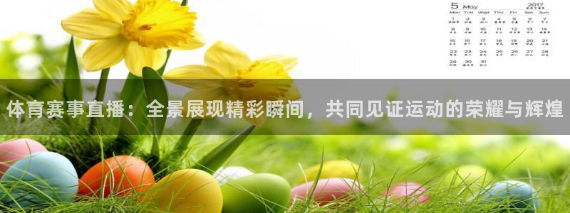 体育赛事直播：全景展现精彩瞬间，共同见证运动的荣耀与辉煌
