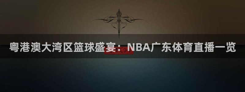 粤港澳大湾区篮球盛宴：NBA广东体育直播一览