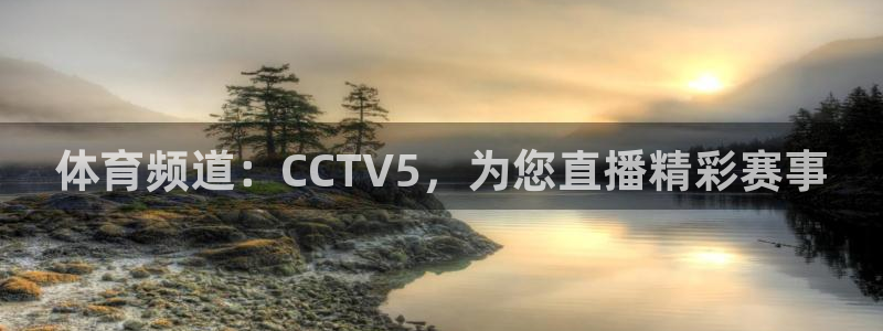 体育频道：CCTV5，为您直播精彩赛事