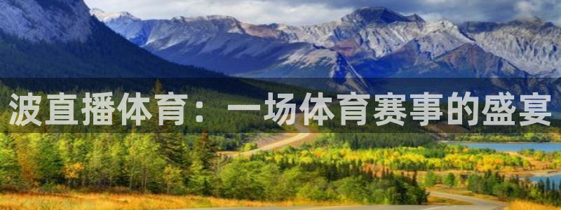 波直播体育：一场体育赛事的盛宴