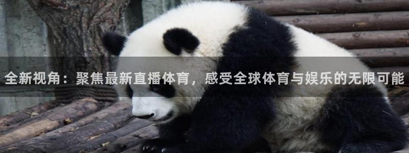 全新视角：聚焦最新直播体育，感受全球体育与娱乐的无限可能