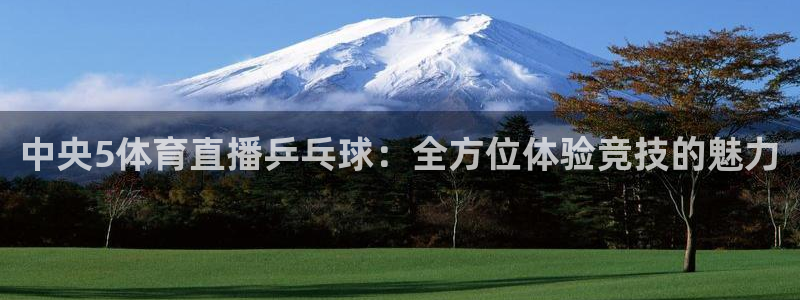 中央5体育直播乒乓球：全方位体验竞技的魅力