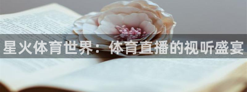 星火体育世界：体育直播的视听盛宴